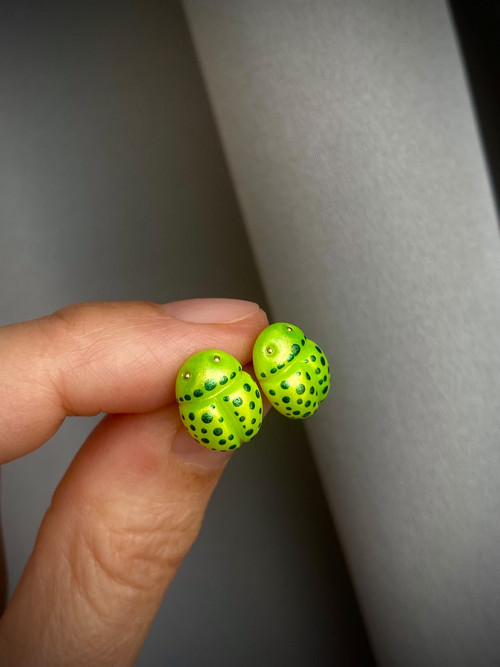 Beetles — foto 4