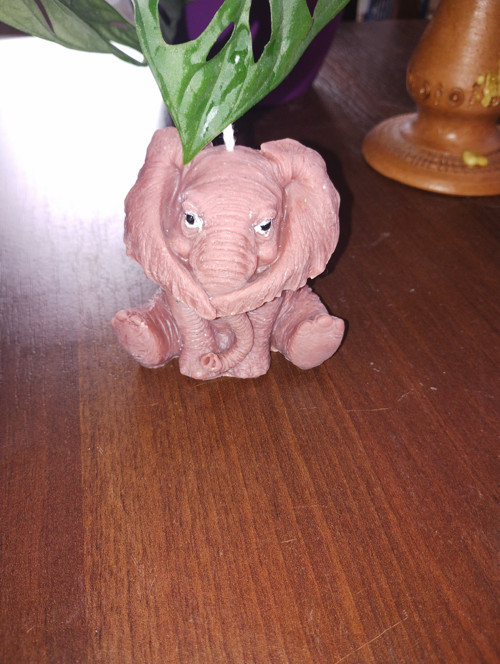Svíčky — foto 2