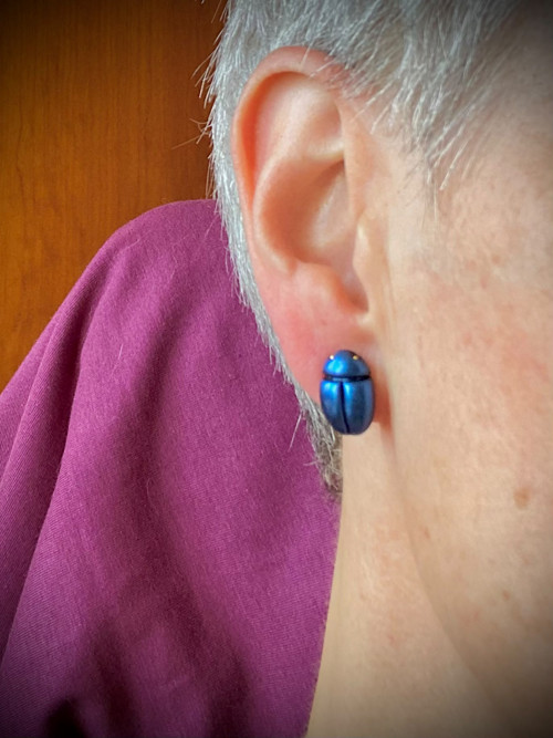Beetles — foto 6
