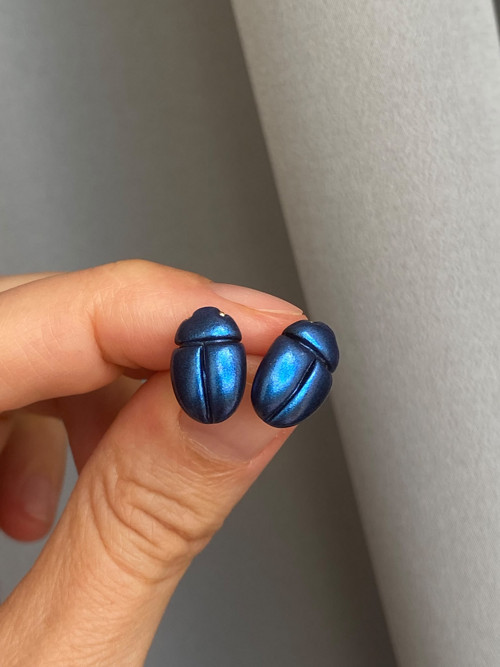 Beetles — foto 2