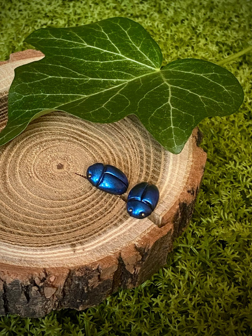 Beetles — foto 3