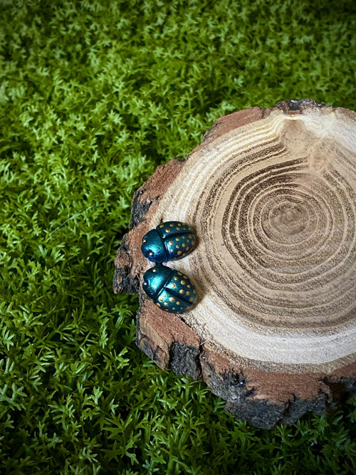 Beetles — foto 3