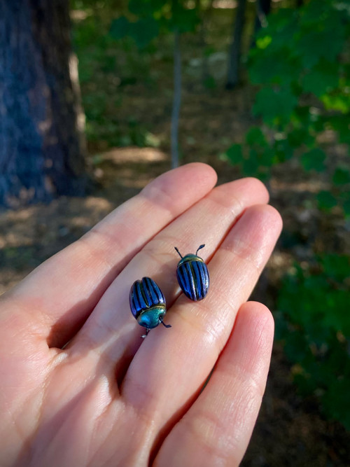 Beetles — foto 2