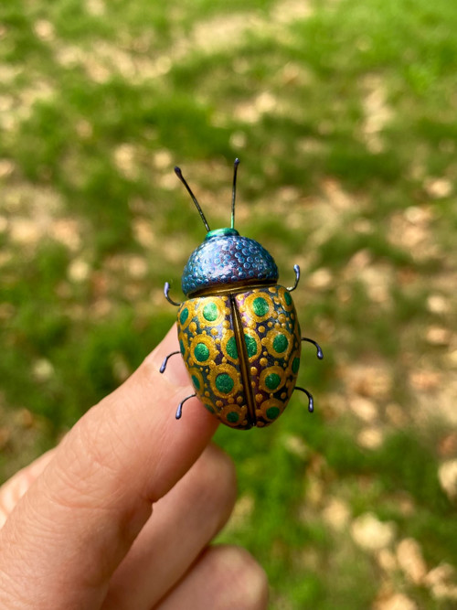 Beetle — foto 5