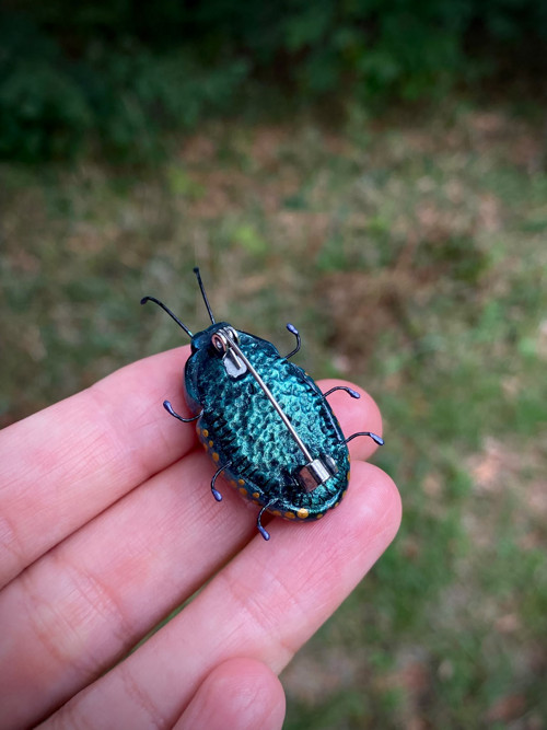 Beetle — foto 6