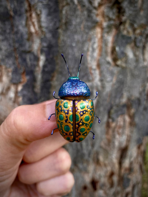 Beetle — foto 2