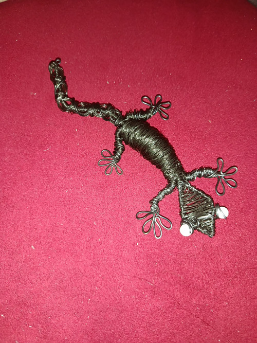 Drátovaná ještěrka — foto 2