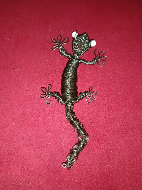 Drátovaná ještěrka — foto 3
