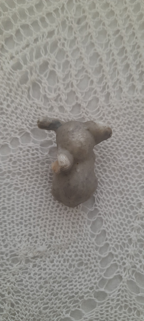 Malinké slůně — foto 3