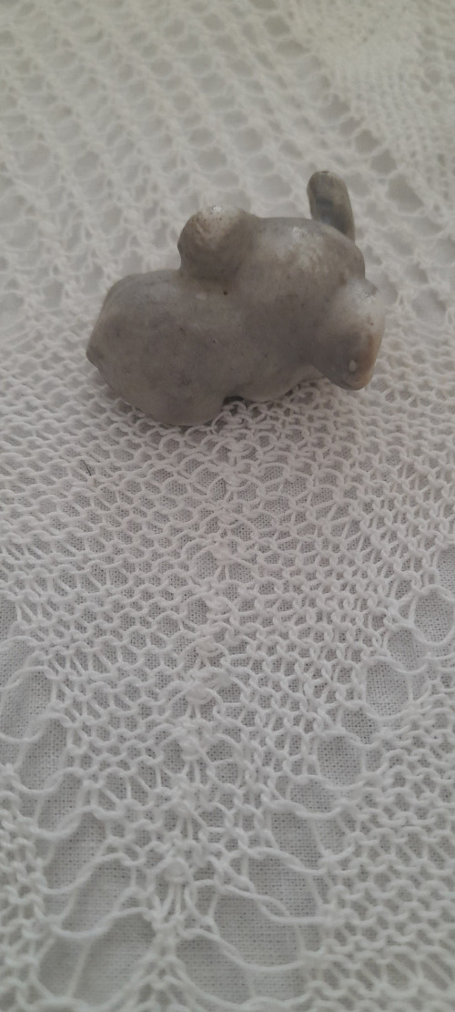 Malinké slůně — foto 5
