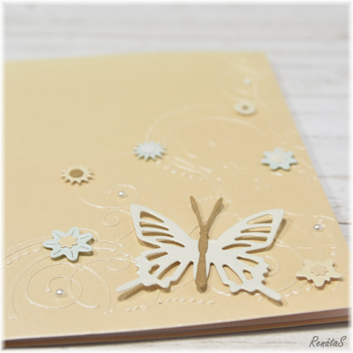 Přání - Orange butterfly — foto 4