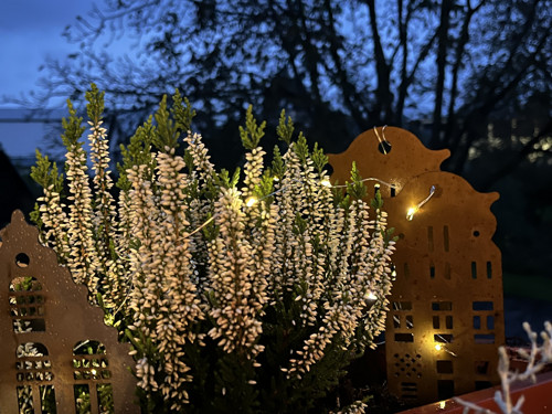 Domeček velký — foto 2