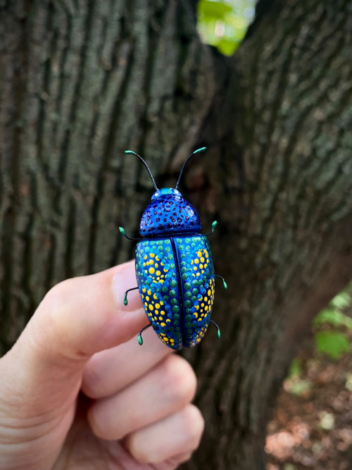 Beetle — foto 3