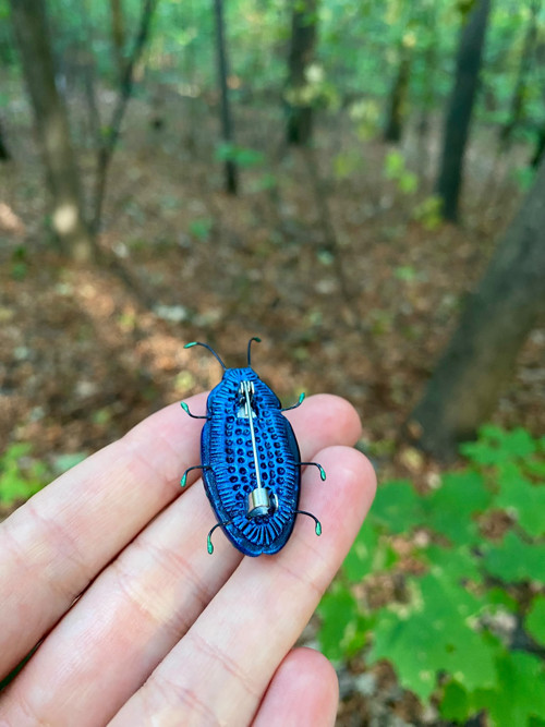 Beetle — foto 5