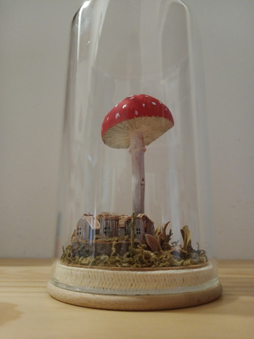 Bydlíme pod muchmůrkou — foto 3