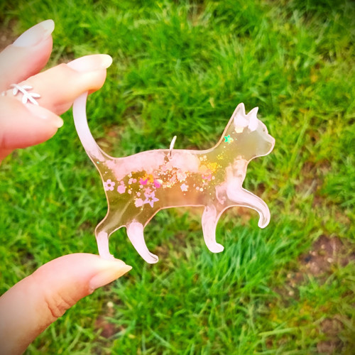 Sada pěti různých růžových kočiček — foto 4