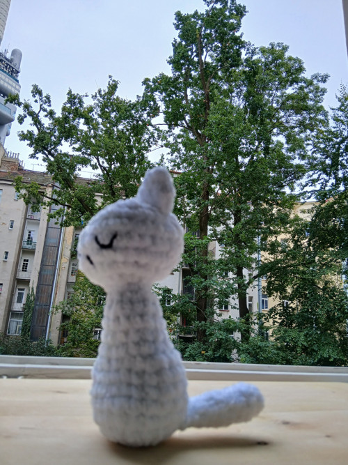 Bílá Kočička — foto 3