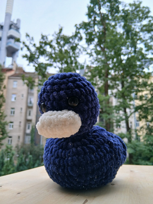 Vesmírná Kačenka — foto 5
