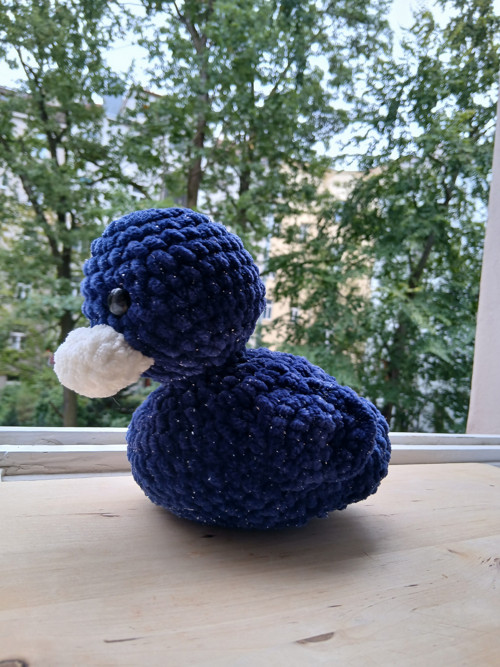 Vesmírná Kačenka — foto 3