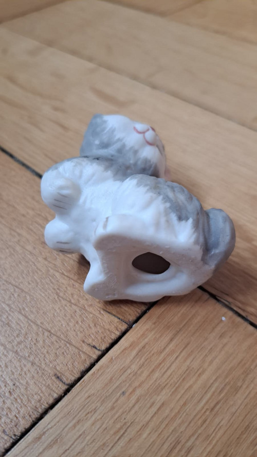 Malá šedá kočička — foto 4
