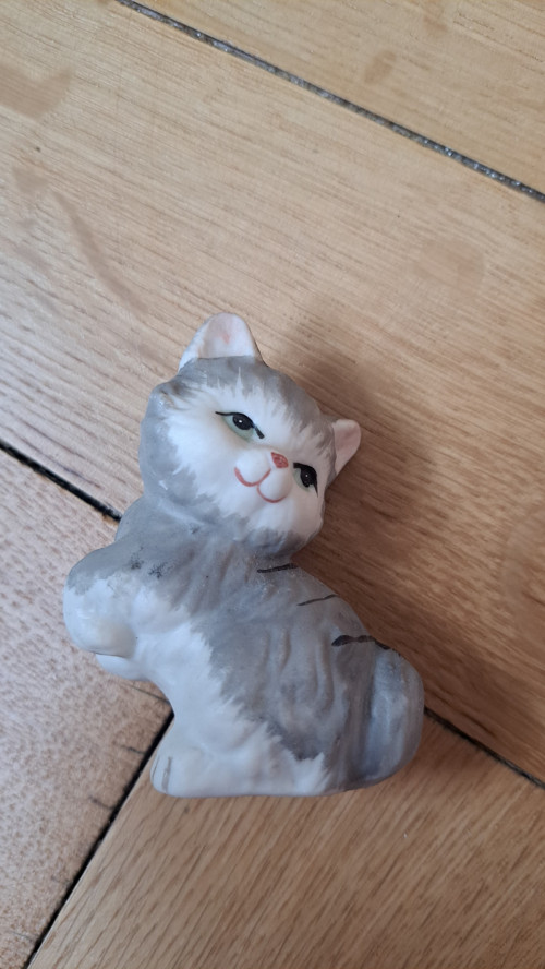 Malá šedá kočička — foto 2