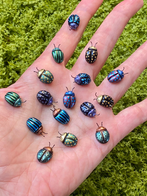 Beetles — foto 6