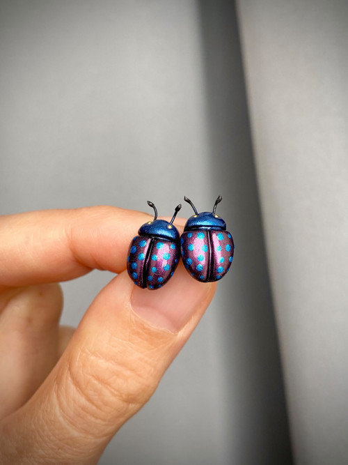 Beetles — foto 2