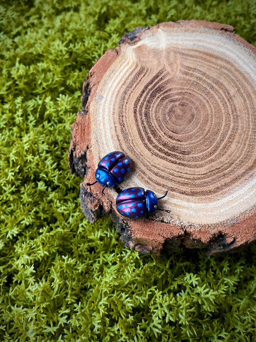 Beetles — foto 3