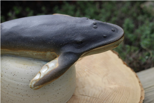 Keporkak, poutník moře! — foto 6