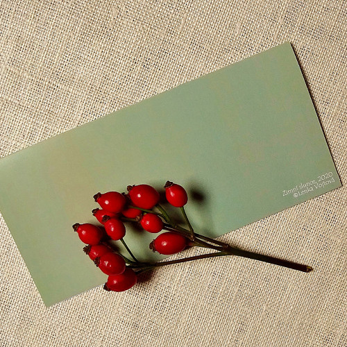 Přání - ZIMNÍ SLUNCE — foto 3