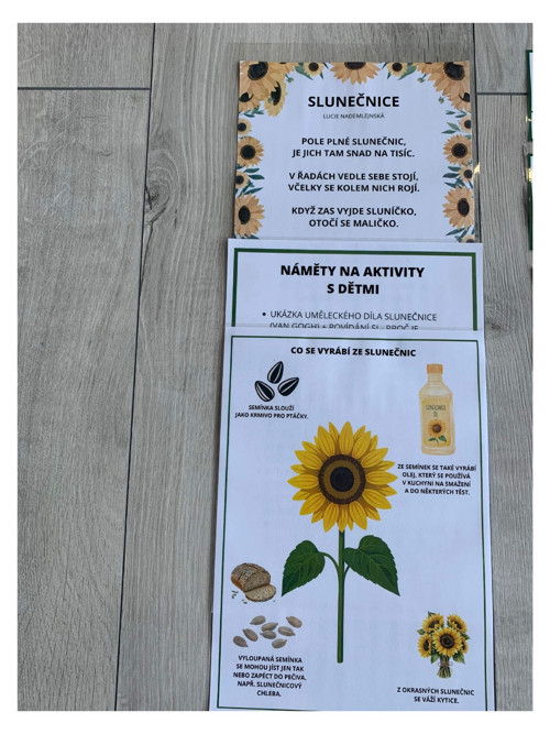 Slunečnice — foto 4