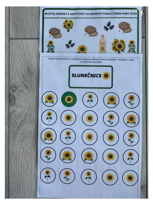 Slunečnice — foto 5