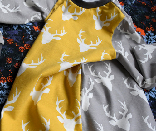 Jelení. — foto 3