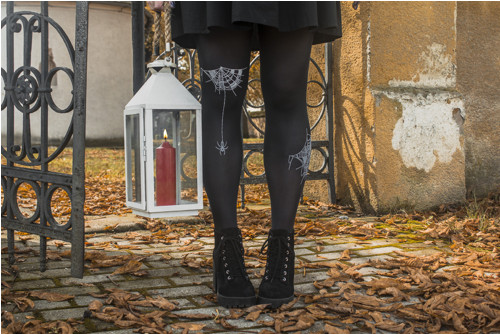 Pavučina — foto 2