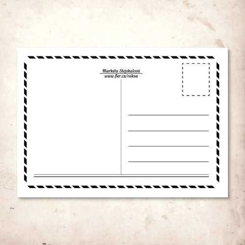Kočičky 8. — foto 2