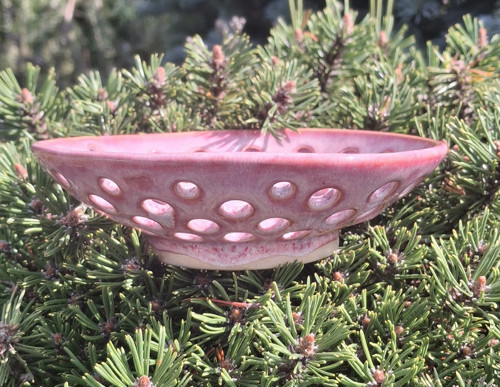 Berry bowl v růžové — foto 3