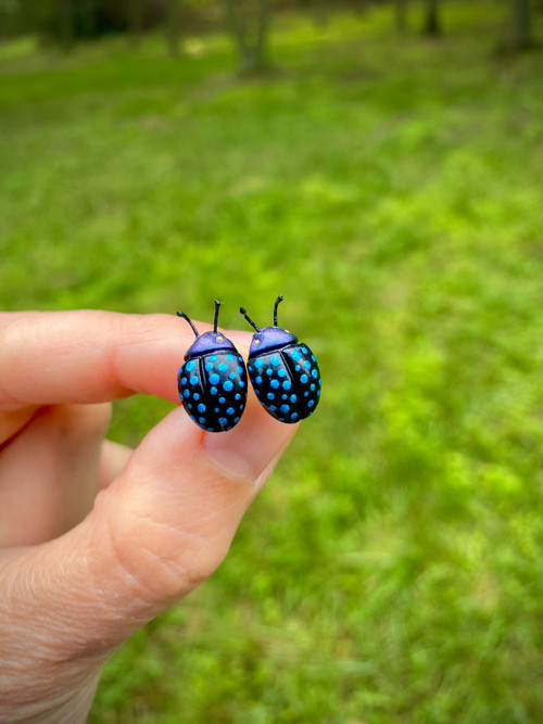 Beetles — foto 2