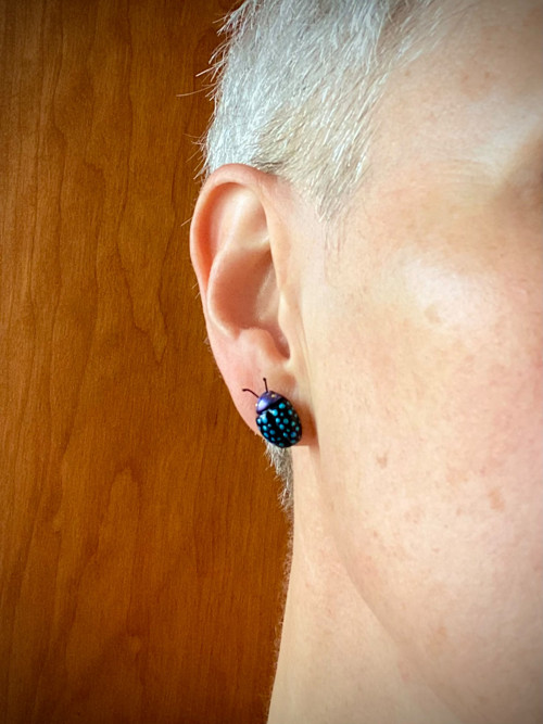 Beetles — foto 5