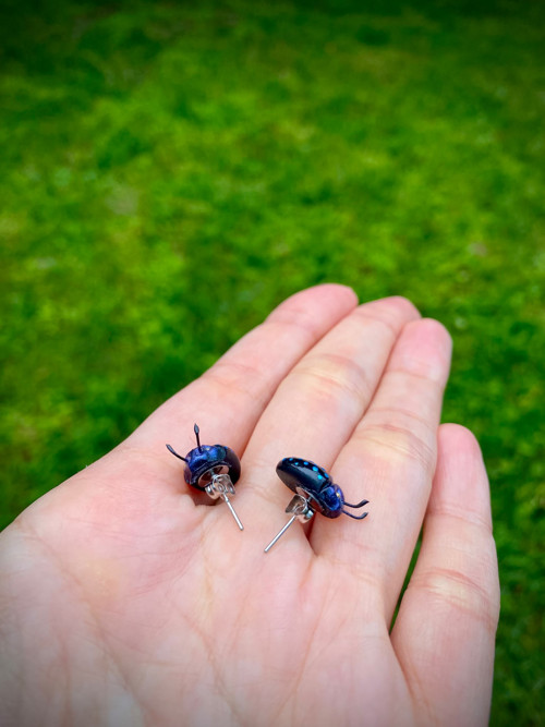 Beetles — foto 4