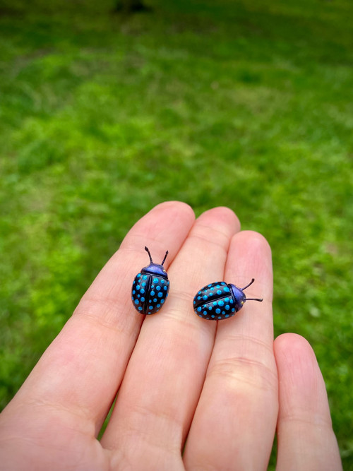 Beetles — foto 3