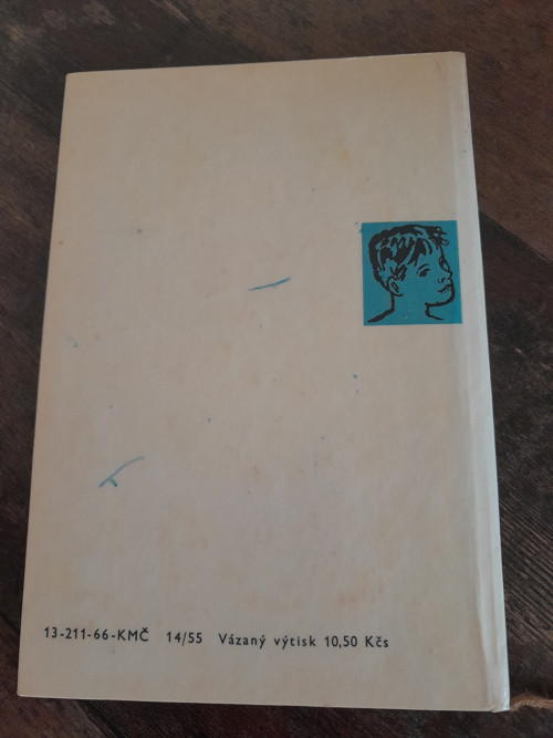 Timur a jeho parta — foto 2