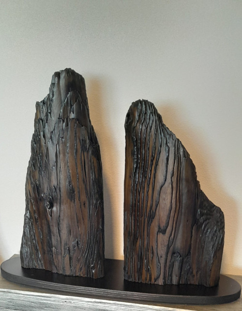 Lignum Montes — foto 5