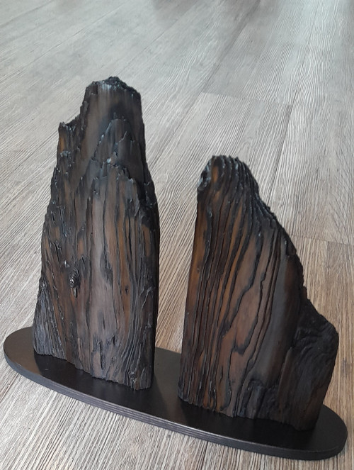 Lignum Montes — foto 2