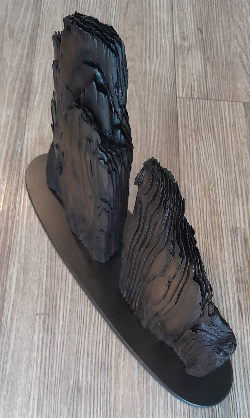 Lignum Montes — foto 3