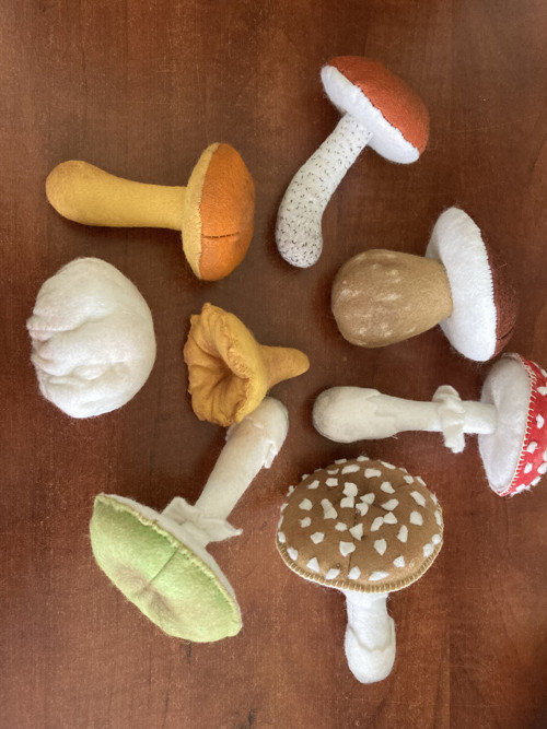 Houby na přání — foto 5