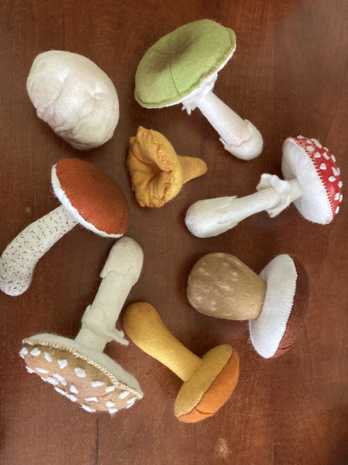 Houby na přání — foto 4