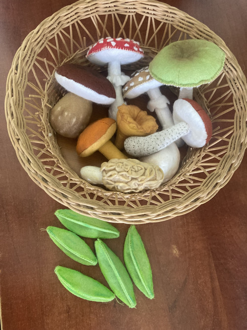 Houby na přání — foto 3
