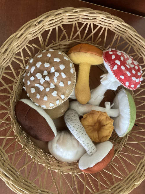 Houby na přání — foto 6