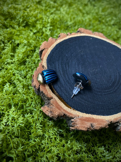 Beetles — foto 4