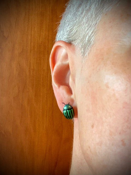 Beetles — foto 4